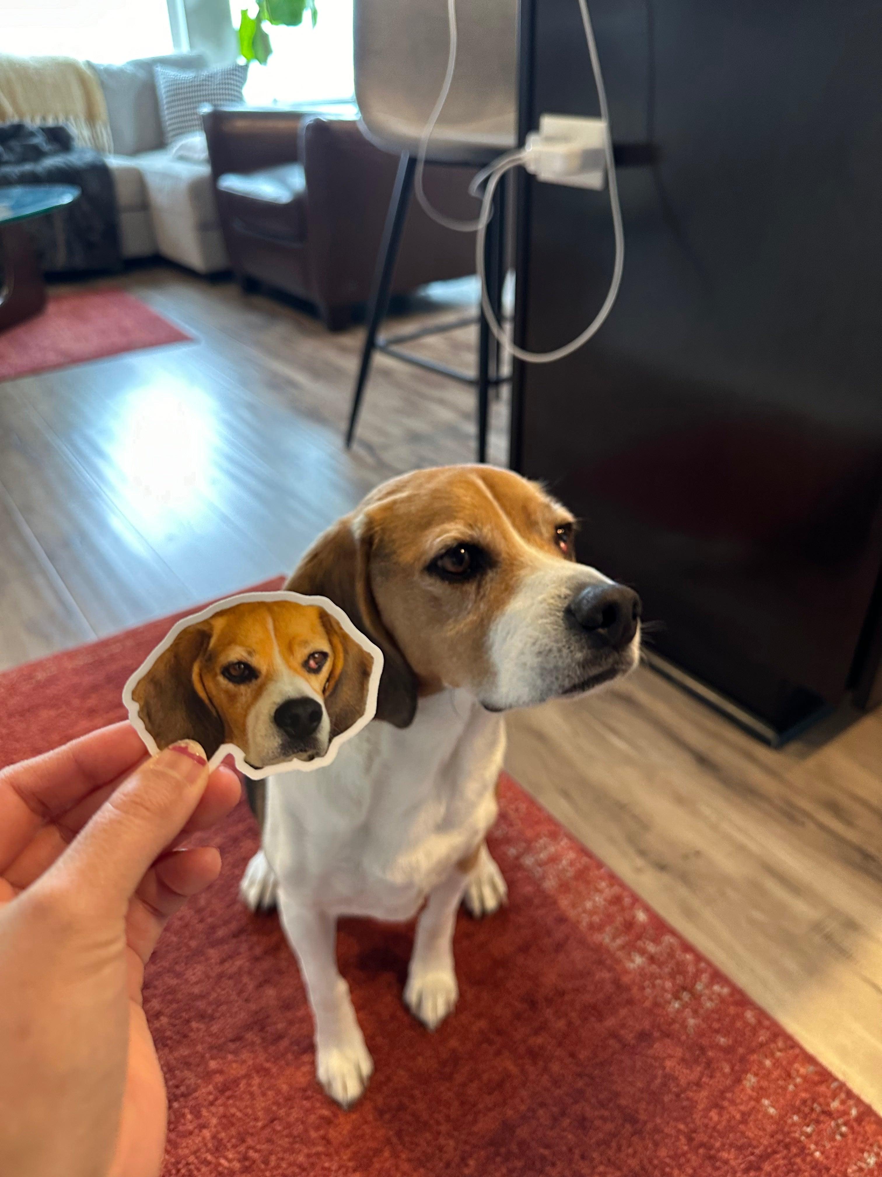 CUSTOM VINYL STICKERS - Stickefy